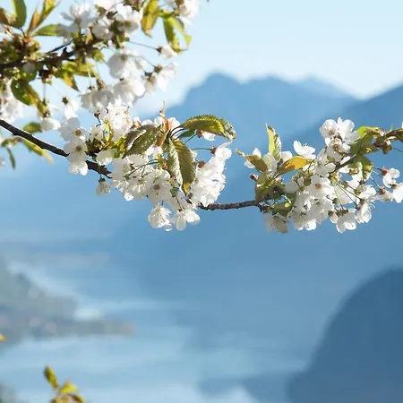 L'ariosa D'idro Bed & Breakfast Crone